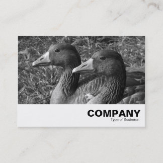 Greylag Geese B&W Visitenkarte