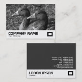 Greylag Geese B&W Visitenkarte (Vorne/Hinten)