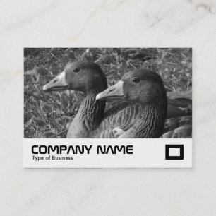 Greylag Geese B&W Visitenkarte
