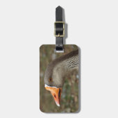 Greylag Swan Goose Cross Gepäckanhänger (Vorderseite vertikal)