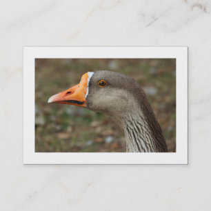 Greylag Swan Goose Cross (grenzt) Visitenkarte