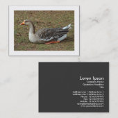 Greylag Swan Goose Cross (grenzt) Visitenkarte (Vorne/Hinten)