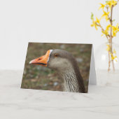 Greylag Swan Goose Cross Karte (Gelbe Blume)