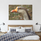 Greylag Swan Goose Cross Leinwanddruck (Insitu (Schlafzimmer))