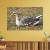 Greylag Swan Goose Cross Leinwanddruck (Insitu (Wohnzimmer))
