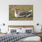 Greylag Swan Goose Cross Leinwanddruck (Insitu (Schlafzimmer))
