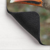 Greylag Swan Goose Cross Mousepad (Ecke)
