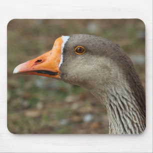 Greylag Swan Goose Cross Mousepad