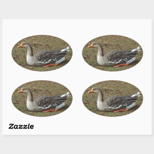 Greylag Swan Goose Cross Ovaler Aufkleber (Blatt)