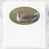 Greylag Swan Goose Cross Ovaler Aufkleber (Tasche)