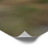 Greylag Swan Goose Cross Poster (Ecke)