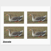 Greylag Swan Goose Cross Rechteckiger Aufkleber (Blatt)