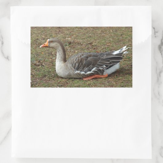 Greylag Swan Goose Cross Rechteckiger Aufkleber (Tasche)