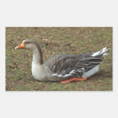 Greylag Swan Goose Cross Rechteckiger Aufkleber (Vorderseite)
