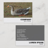 Greylag Swan Goose Cross Visitenkarte (Vorne/Hinten)