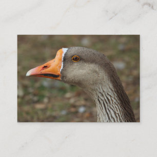 Greylag Swan Goose Cross Visitenkarte