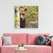 GREZZELL BÄRENPEEKING FOTOGRAFIE WRAPPED CANVAS LEINWANDDRUCK (Insitu (Wohnzimmer))