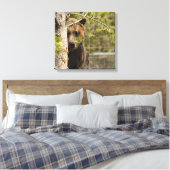 GREZZELL BÄRENPEEKING FOTOGRAFIE WRAPPED CANVAS LEINWANDDRUCK (Insitu (Schlafzimmer))