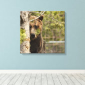 GREZZELL BÄRENPEEKING FOTOGRAFIE WRAPPED CANVAS LEINWANDDRUCK (Insitu (Holzboden))