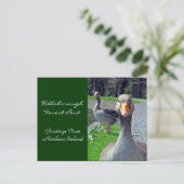 Griechen (Hillsbrough Forest Park) Postkarte (Stehend Vorderseite)