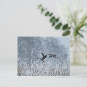 Griechen in schneebedeckter Landschaft Postkarte (Stehend Vorderseite)