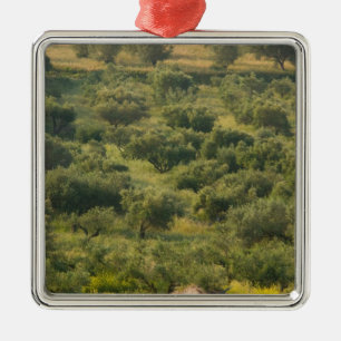 GRIECHENLAND, Ionische Inseln, KEFALONIA, Havriata Ornament Aus Metall
