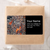 GRIECHENLAND, WALDTIERE Fasan, Rotfuchs, Blüten (Insitu)