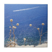 Griechisch-Blaue Keramik Fliese (Vorderseite)