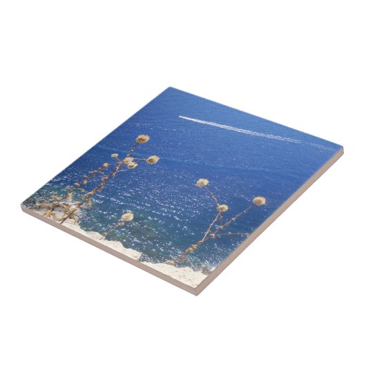 Griechisch-Blaue Keramik Fliese (Seite)