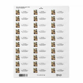 Griechisch Hoplite (Vorne)