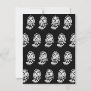 Griechisch-römisches Brustbild Postkarte