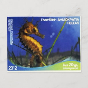 Griechische Briefmarke Langschnauzige Seepferd Postkarte