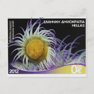 Griechische Briefmarke Snakelocks-Anemone Postkarte