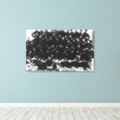 Griechische Infanteriebeamte FotografieGriechenlan Leinwanddruck (Insitu (Holzboden))