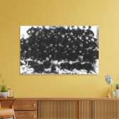 Griechische Infanteriebeamte FotografieGriechenlan Leinwanddruck (Insitu (Wohnzimmer))