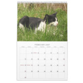 Griechische Katzen Kalender (Feb 2027)