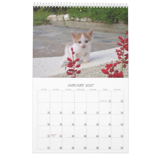 Griechische Katzen Kalender (Jan 2027)