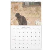 Griechische Katzen Kalender (Mär 2027)