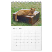 Griechische Katzen - Schnappschüsse der kleinen Ge Kalender (Feb 2027)