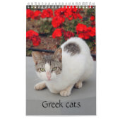 Griechische Katzen - Schnappschüsse der kleinen Ge Kalender (Titelbild)