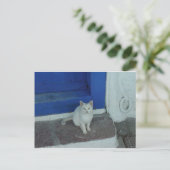 Griechische Kitty Postkarte (Stehend Vorderseite)