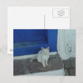 Griechische Kitty Postkarte (Vorne/Hinten)