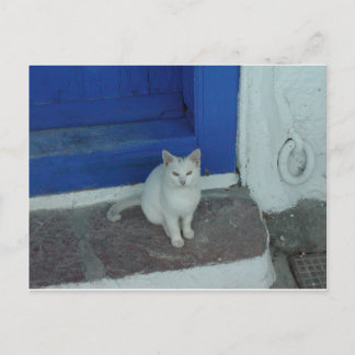 Griechische Kitty Postkarte