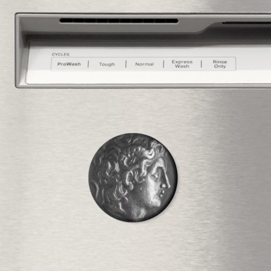 Griechische Münze Magnet (In Situ (Geschirrspüler))