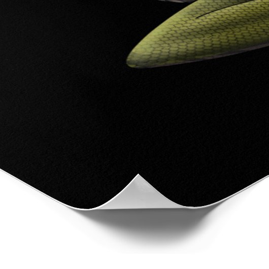 Griechische Mythologie Goddess Medusa Poster (Ecke)