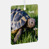 Griechische Schildkröte im Gras Ornament Aus Metall (Vorderseite Rechts)