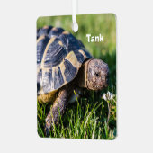 Griechische Schildkröte im Gras Ornament Aus Metall (Vorderseite links)