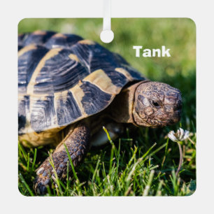 Griechische Schildkröte im Gras Ornament Aus Metall