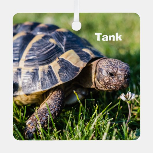 Griechische Schildkröte im Gras Ornament Aus Metall (Vorderseite)