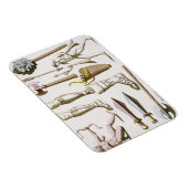 griechische Soldaten, Waffen und Rüstung, Teller 3 Magnet (Rechte Seite)